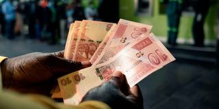 Zimbabwean money notes