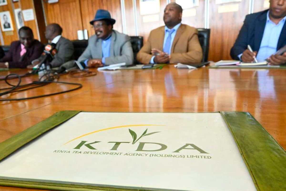 Tea farmers to benefit as KTDA reduces interest on loans to 8pc