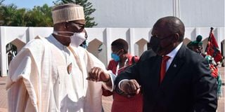 Presidents Buhari and Ramaphosa