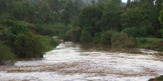 A section of River Nzoia. 