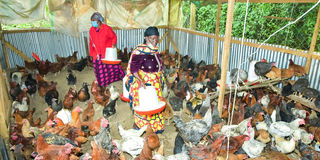 Kutus poultry farmers
