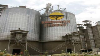 Savannah Cement Company 