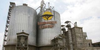 Savannah Cement Company 