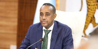 Somali Prime Minister Mohamed Hussein Roble