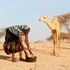 A woman feeds porridge to her camel in Horri