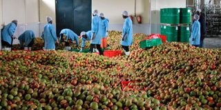 Fruits Processing Plant