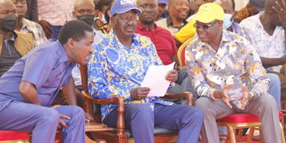 Peter Munya, Kiraitu Murungi, Raila Odinga Meru meeting
