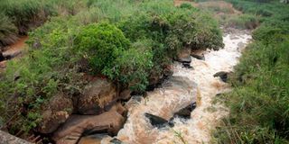 River Yala in Siaya County