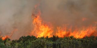 Fire burns Marania section of Mt Kenya Forest.