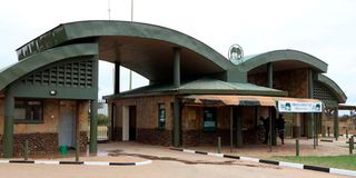 Amboseli National Park