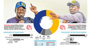 nation nmg poll raila ruto elections