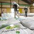 Workers carry bags of government subsidised fertiliser