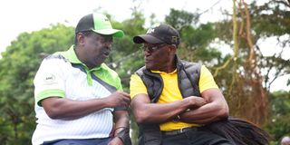 ANC's Musalia Mudavadi (left) and UDA chairman Johnson Muthama.