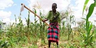 Turkana farmer