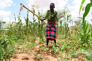 Turkana farmer