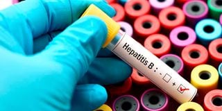 Hepatitis B and C are responsible for 95 percent of Hepatitis-related sicknesses.
