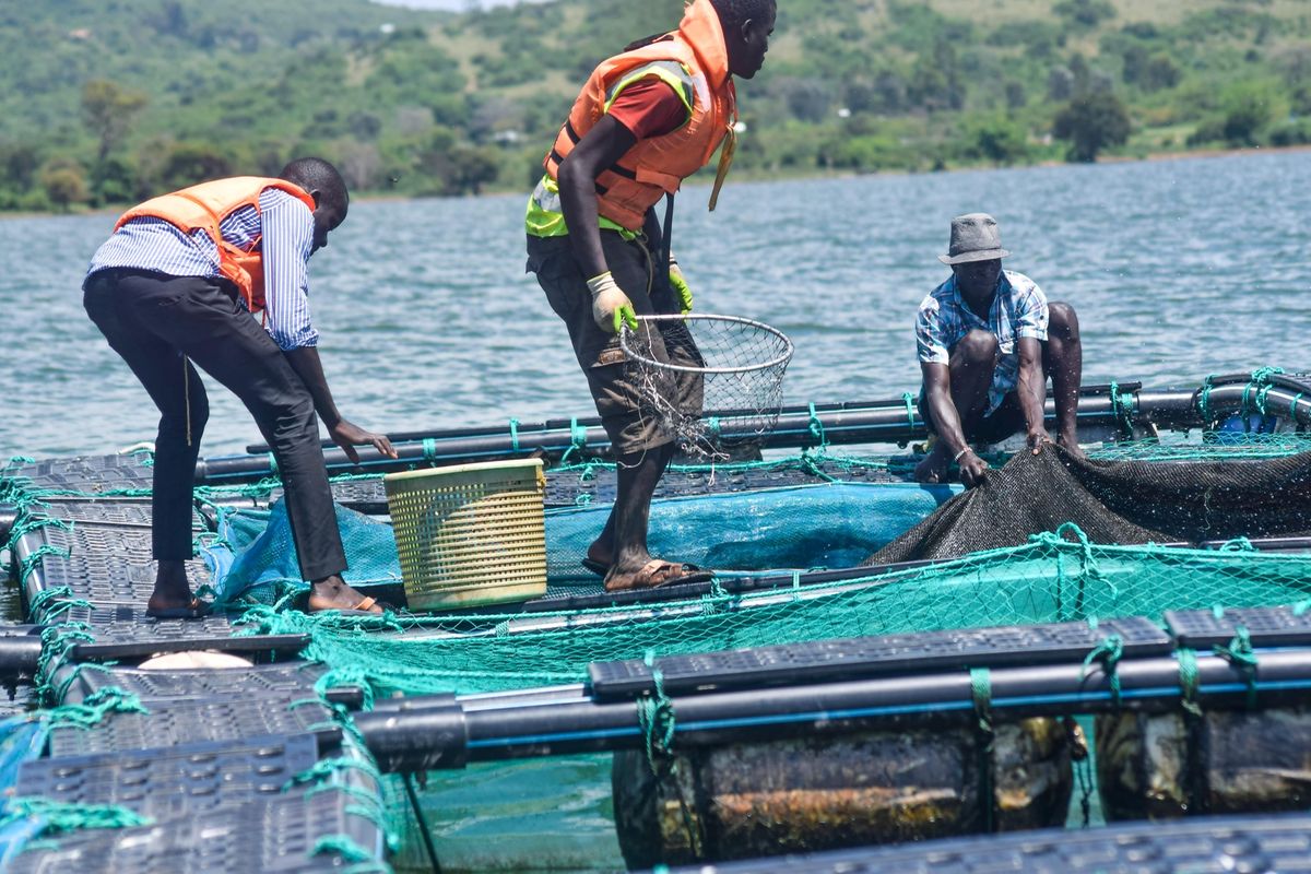 Two local men fishing in a small boat on Lake Victoria. Kisumu