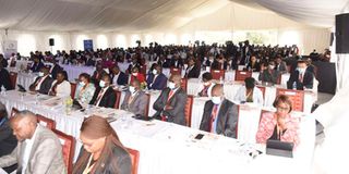 sustainable energy conference at Olkaria in Naivasha