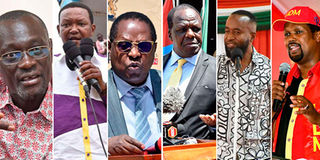 Some of the governors campaigning for Raila and Ruto