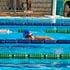 Kenya Swimming Federation