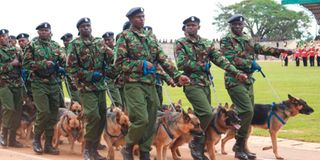 Police officers Kenya