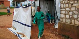 Marburg virus treatment Angola