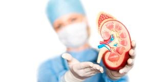 kidney transplant, organ donation, organ transplant