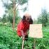 Jane Wanjiru, agricultura inteligente, rotación de cultivos, cambio climático