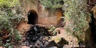 The ‘Dark Tunnel’ in the Kijabe Hills