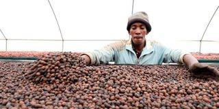 Edward Mutura Wacuka, 29, a worker at Rui-Ruiru Coffee Factory.