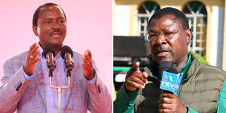 Kalonzo Musyoka and Moses Wetang'ula