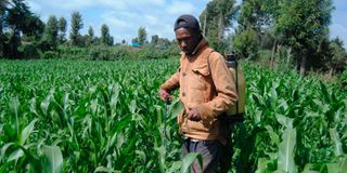A farmer spraying his crops with pesticide. 