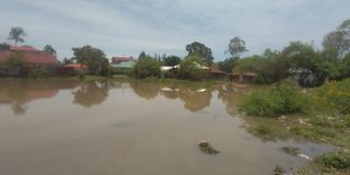 Nyalenda floods