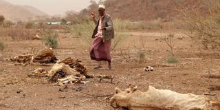 Drought in Dabel village, Marsabit County.