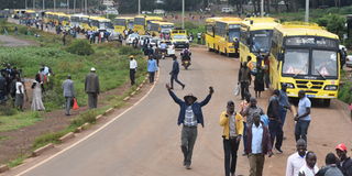 Buses parked in Eldoret town on September 12, 2022, waiting to transport supporters of President-elect William Ruto to Nairobi