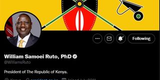 Ruto's bio on social media