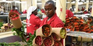 Employees at Equator Flowers Farm in Eldoret