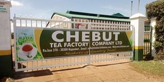 Chebut Kenya Tea Development Authority (KTDA) factory in Kapsabet, Nandi county