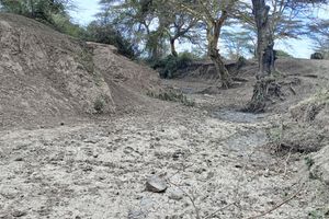 Dry water ways in Kieni