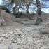 Dry water ways in Kieni