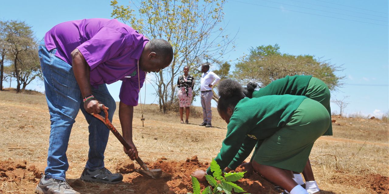 State In Plan To Plant 15 Billion Trees By 2032 Nation 