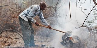 Mzee Mutua Mangeli, a volunteer firefighter, combs a charred section of Kitondo Forest in Makueni County