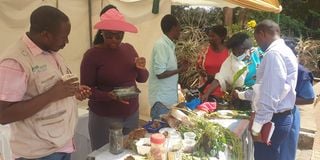 Visitors sample local foods and seeds 