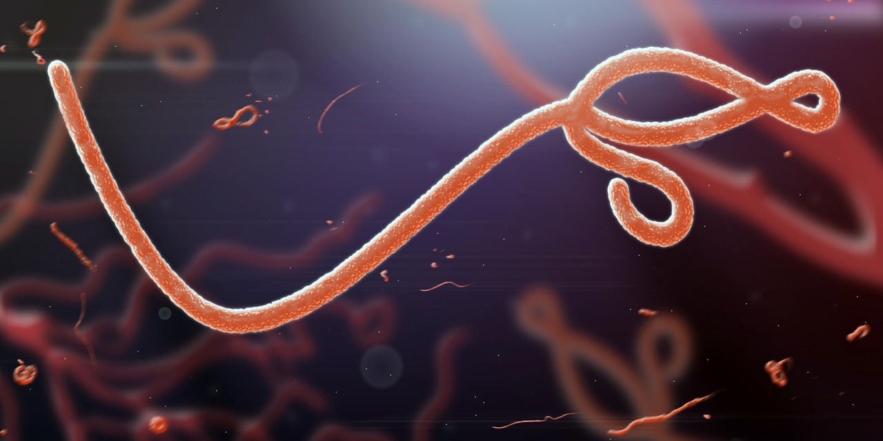 Ebola Virus Disease Evd What It Is And How You Can Protect Yourself Nation 6889