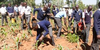 Agriculture students from Koderobara Secondary School