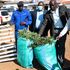Security officers display confiscated bhang