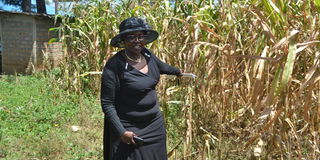 Patroba Yator, a widow from Eldoret fighting for grabbed land