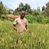 Evans Ochuto at the traditional vegetable and seed bank farm in Vihiga County.