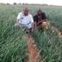 Mohamed Adan (left), an onion grower on his farm in Mandera on August 23 with a friend. 