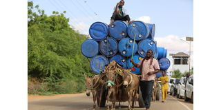 Donkeys cart